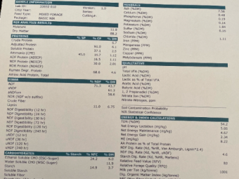 250mt Oaten Clover Rye Hay 550-600kg 8x4x3 Bales