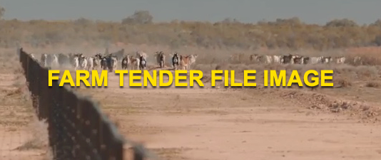 WANTED 200 x Wether Goats