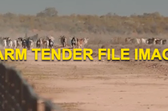 WANTED 200 x Wether Goats