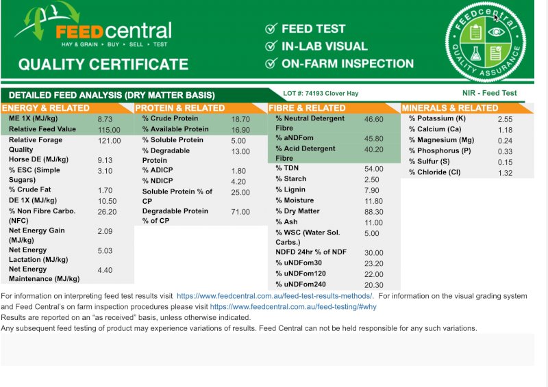 20 mt Persian clover hay
