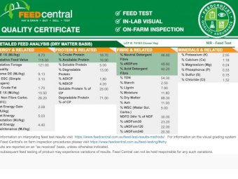 20 mt Persian clover hay
