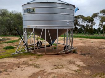 Under Auction - (A235) 2017 Campbell 37mt Field Bin 