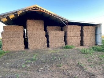 High Protein Shedded Vetch Hay