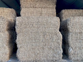 High Protein Shedded Vetch Hay