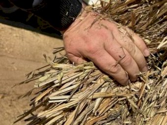 Oaten Hay 690kg 8x4x3 Bales