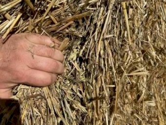 Oaten Hay 690kg 8x4x3 Bales