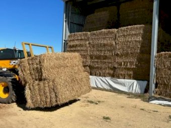 Oaten Hay 690kg 8x4x3 Bales