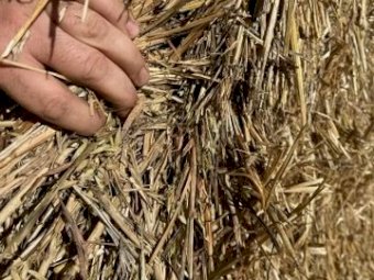 Oaten Hay 690kg 8x4x3 Bales