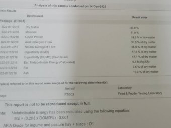 240 mt Vetch shedded