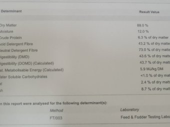 340 mt Oaten Hay Shedded