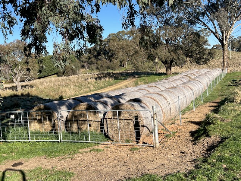 200 x Clover & Pasture Hay 5x4 Rolls