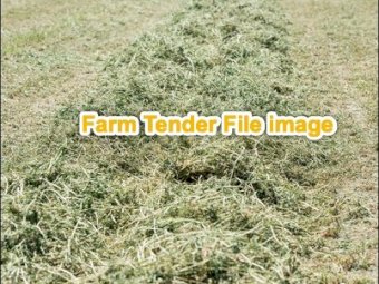 Prairie Grass Haylage Rounds