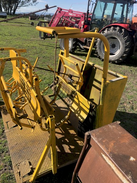 Moffat-Virtue Sheep Handler with lead up Race