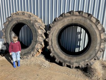 2 x Titan 710/70R42 Tyres