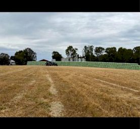 Oaten Rye Wheat Lucerne Mix Haylage