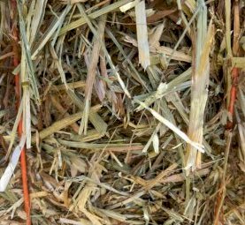 Oaten Rye Wheat Lucerne Mix Haylage