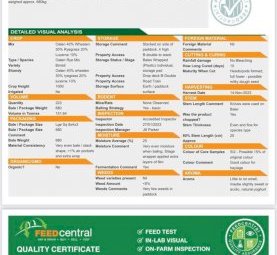 Oaten Rye Wheat Lucerne Mix Haylage