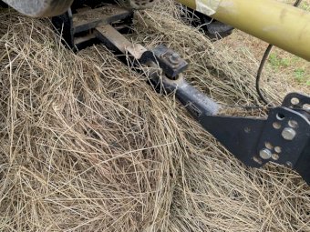 Shaftal Clover and Ryegrass Rolls