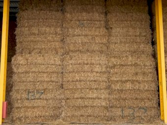 Oaten Hay 8x4x3 Bales