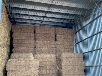 400 m/t Vetch Hay