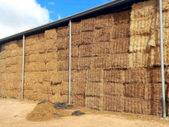 22/23 Season Vetch Hay