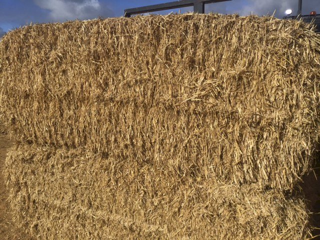 Header Trailed Barley Straw