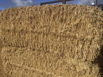 Header Trailed Barley Straw