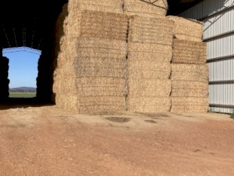 Header Trailed Wheaten Straw