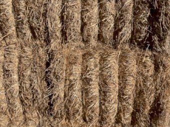 Header Trailed Wheaten Straw
