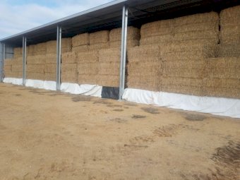 200mt Oaten Hay 500-520kg 8x4x3 Bales