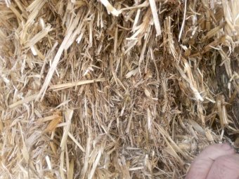 200mt Oaten Hay 500-520kg 8x4x3 Bales