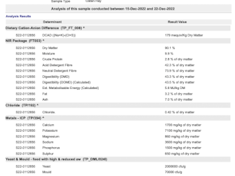 200mt Oaten Hay 500-520kg 8x4x3 Bales