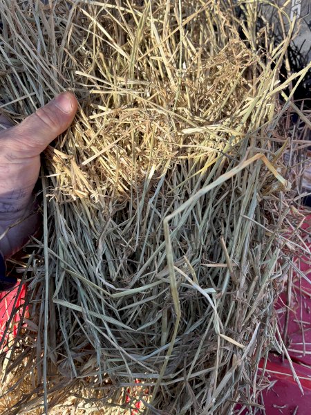 Rye Grass and Oaten Hay | Farm Tender