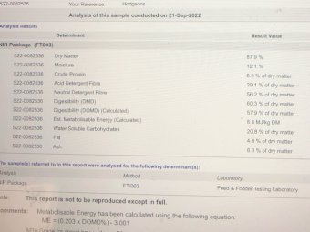 180mt Barley Hay 600kg 8x4x3 Bales