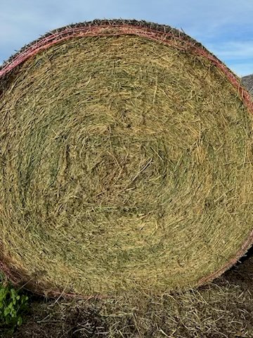 1st - 3rd Cut Lucerne Rolls