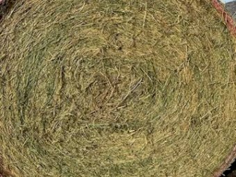 1st - 3rd Cut Lucerne Rolls