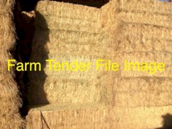 Clover Hay 8x4x3 Bales