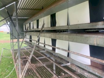 Chicken Caravan Trailer