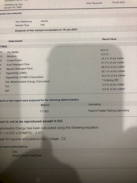 300mt Vetch Hay 550-560Kg 8x4x3 Bales