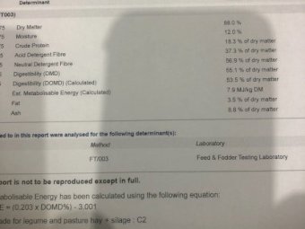 300mt Vetch Hay 550-560Kg 8x4x3 Bales