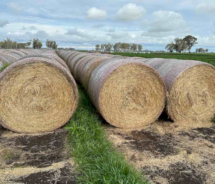 Pasture Hay in Round Bales