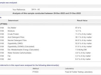 Lucerne & barley hay, baled from lucerne paddock oversown with barley.