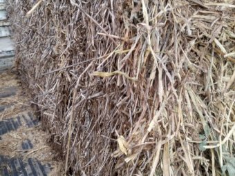 Lucerne & barley hay, baled from lucerne paddock oversown with barley.