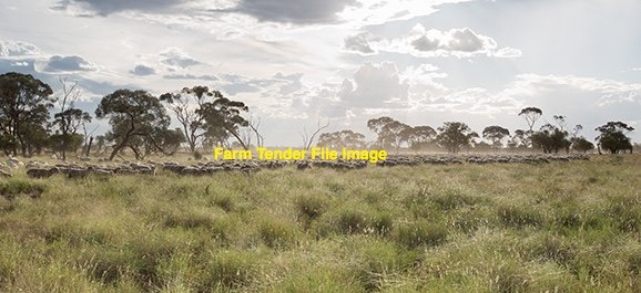 EOI 2400 Ha of Agistment available