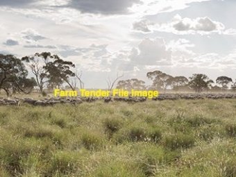 EOI 2400 Ha of Agistment available