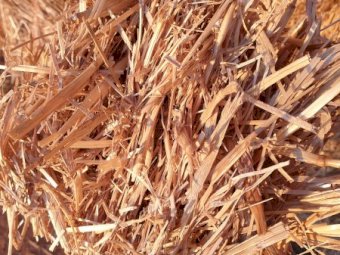 2022 Wheat straw header trailings