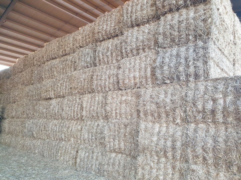 2022 oat straw header trailings