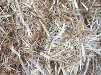 2022 oat straw header trailings