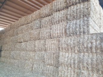 2022 oat straw header trailings