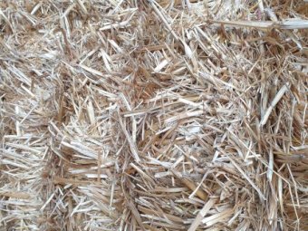 2022 oat straw header trailings